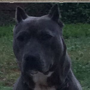 Meet your Posher, Karla